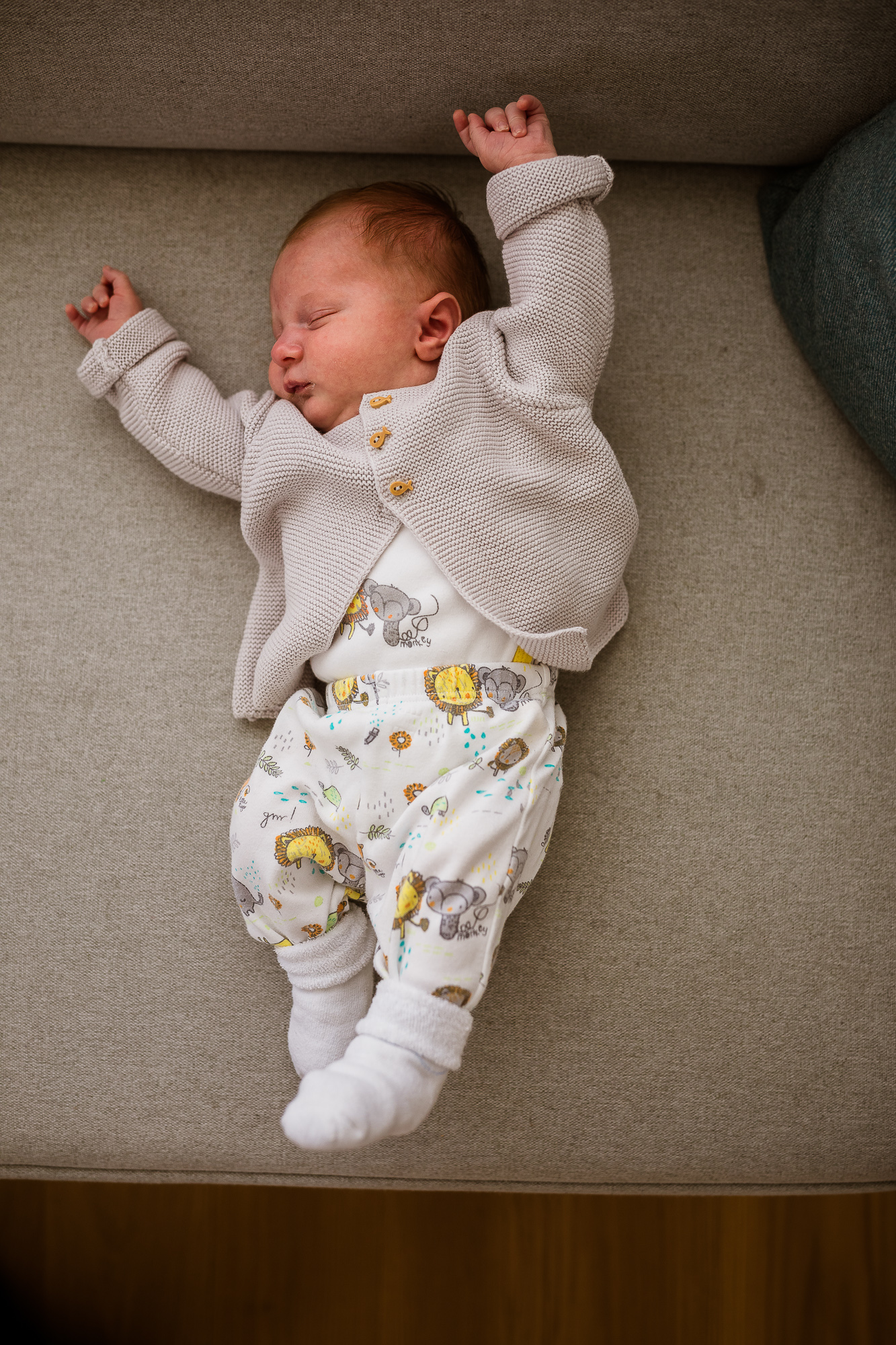 Export x3 5D4 6809 Familienfotoshooting 2019 Hefti